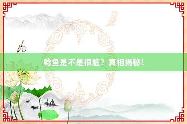 鲶鱼是不是很脏？真相揭秘！